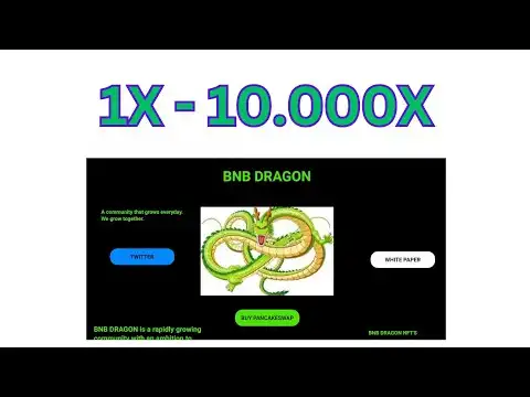 Opportunity X10000 times assets, potential and risks meme coin BNB DRAGON