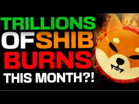 SHIBA INU COIN BURNS 9.25 TRILLION IN JANUARY 2024??