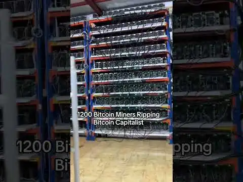 1200 Bitcoin miners printing money #bitcoin #btc #bitcoinminers #minebitcoin #bitcoinmining #crypto