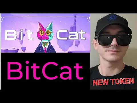 $BitCat - BITCAT TOKEN CRYPTO COIN HOW TO BUY BIT CAT PRESALE BNB BSC ETH ETHEREUM PINKSALE MEMECOIN