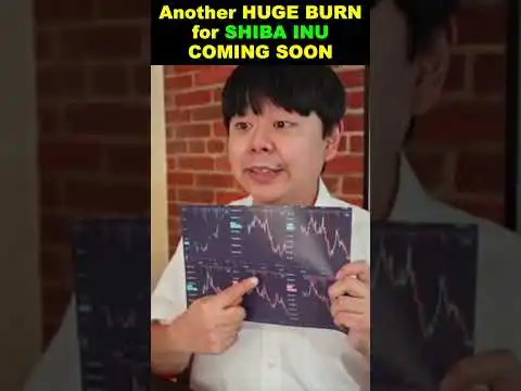 Another HUGE BURN for SHIBA INU COMING SOON #shorts