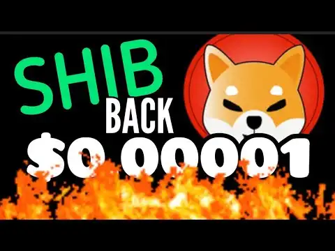 Shiba Inu Coin Holders LOOK Back $0.00001