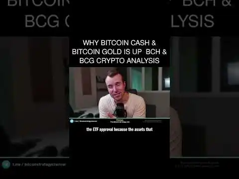 Why Bitcoin Cash & Bitcoin Gold is up  BCH & BCG Crypto Analysis