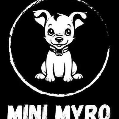 Mini Myro 