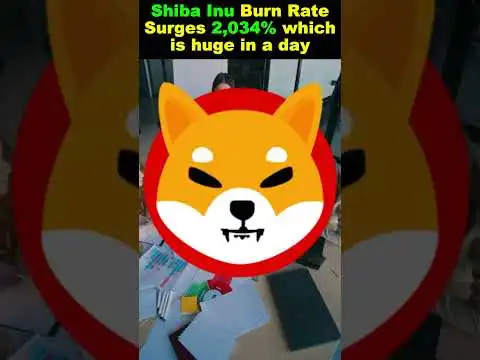 Shiba Inu Burn Rate Surges 2,034% which is huge in a day #shorts