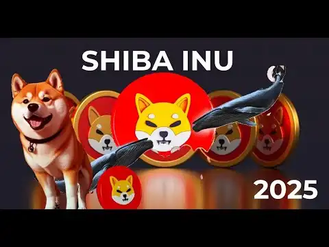 Shiba Inu Coin Update | Ecosystem Team Plans for the Future
