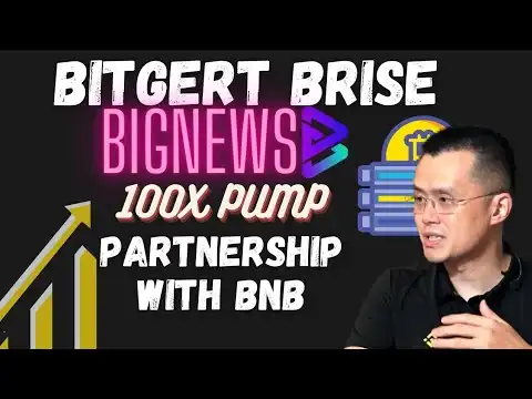 Bitgert & BNB 100X| Bitgert Coin News Today | Bitgert Brise Price Prediction 2024