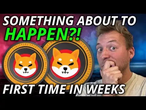 SHIBA INU - IS SOMETHING ABOUT TO HAPPEN?!!! FIRST ACTIVITY IN WEEKS!