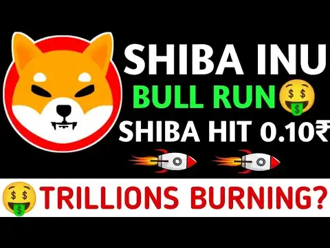 SHIBA INUBULL RUNTRILLIONS BURNINGSHIBA HIT 0.10  BURN #shiba #shibainu