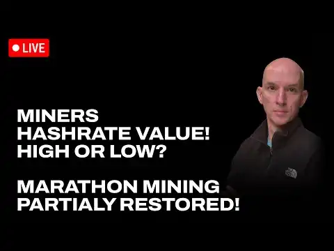 Bitcoin Miners Hashrate Value Per Market Cap! Marathon Restoring Hashrate! DMG News!