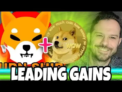 Shiba Inu Coin | SHIB and Doge Leading The Next Move Higher!