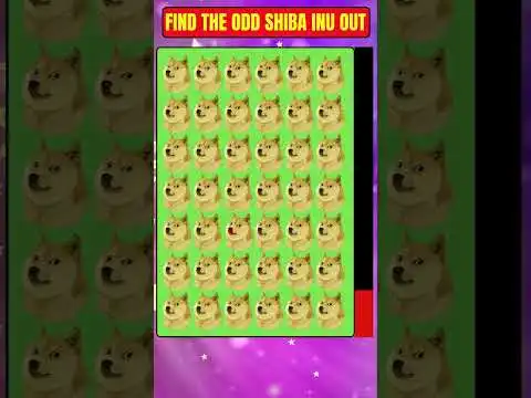 Find the Odd Shiba Inu Doge Coin Meme Out