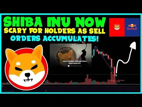 SHIBA INU HOLDERS DONT BE FOOLED BY THIS!  BURN RATES, New Dev Tease!  SHIBACoin PRICE PREDICTION!