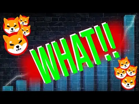 SHYTOSHI LEFT FINAL WARNING AND DISAPPEARED!! - SHIBA INU COIN NEWS TODAY