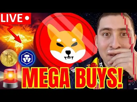 SHIBA INU COIN WHAT'S HAPPENING!?CRYPTO BREAKING POINT?