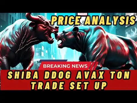 Price Analysis - SHIBA INU, DOGE COIN, AVAX TON Trade Set Up