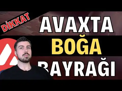 Avaxta Boa Bayra Aktif(Avax Coin Avalanche Coin Teknik Temel Analizi)