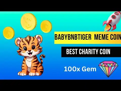 Best Meme Coin || BabybnbTiger coin || Next Gem