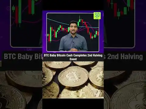 BTC Baby Bitcoin Cash Completes 2nd Halving Event | 3.0 TV #bitcoincash #bitcoin #halving #mining