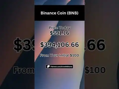 Your $100 would be worth $394,106 today #shorts #bnb #binancecoin