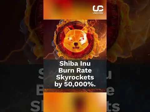 Shiba Inu Burn Rate Skyrockets by 50,000% | Bitcoin surpasses 65 million Ordinals | news Crypto