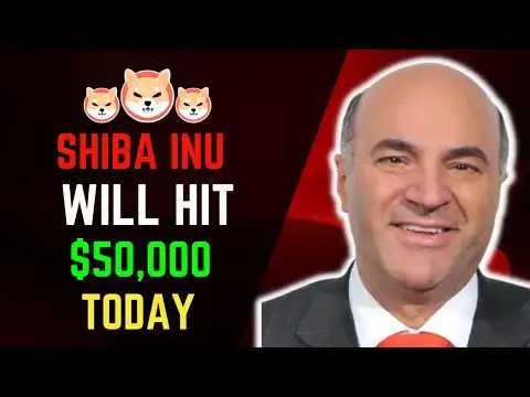 Kevin O'Leary Reveals Shiba Inu Coin's Bitcoin Replacement! Soon SHIB Price Will Soar!