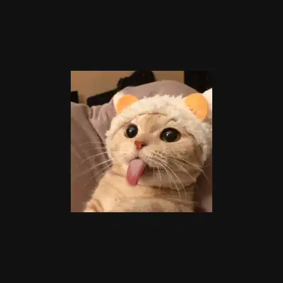 Tongue Cat  