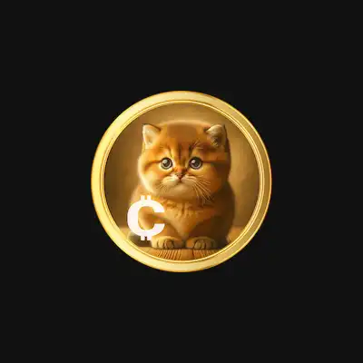 Baby Cat Coin  