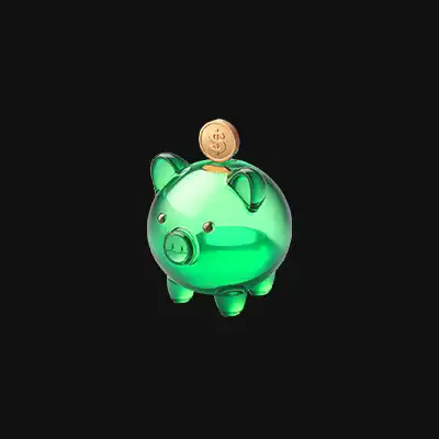 Piggy Bank Coin
