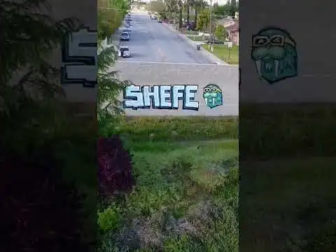 $HEFE on The Streets of Cali - Next Blue Chip Avax Memecoin #shorts