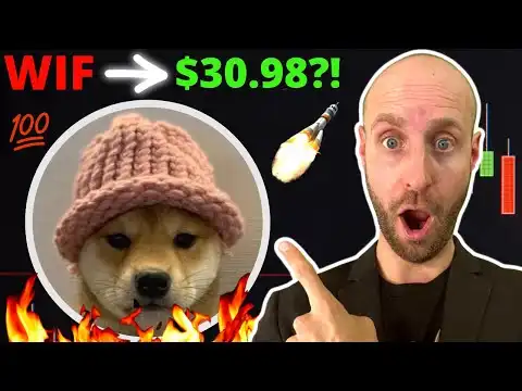 I Bought 33.582 DOG WIF HAT (WIF) Crypto Coins at $2.97 Today?! Turn $100 To $1K?! (URGENT!!!)