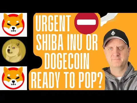 SHIBA INU COIN PRICE NEWS  DOGECOIN SET TO ROLL UP  ETHEREUM PRICE POPPING!