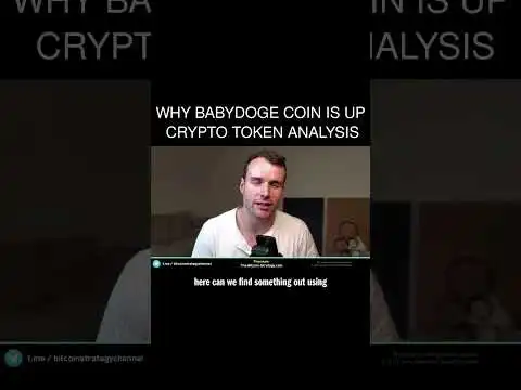 Why BabyDoge Coin is up  Crypto Token Analysis