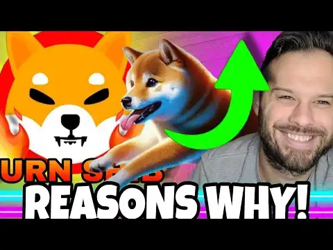 Shiba Inu Coin | Reasons SHIB Is Moving Higher and Why Dogeverse Could Move Higher!