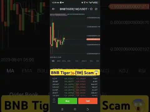 BNB Tiger Inu Coin - Scam #crypto #cryptonews #memecoins #bnbtiger #bnbtigerinu #bnb #stockmarket