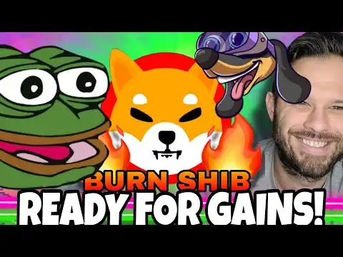 Shiba Inu Coin & PEPE Soar In Profit! Crypto Wil Begin To Flow In Here!