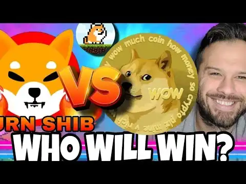 Shiba Inu Coin VS Doge Who Will Rise The Most In June? PlayDoge Could Be A Huge Competitor!