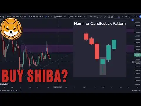 Shiba Inu Coin Update (Good News!!!)
