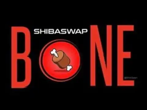 2.7 TRILLION! SHIBA INU COIN! WHATS HAPPENING WITH SHIB! INSANE NETWORK ACTIVITY! #shibarmy