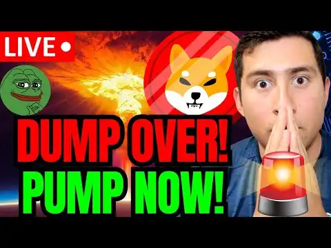 SHIBA INU COIN YOU GOT TO PUMP IT UP!CRYPTO IS BACK!?