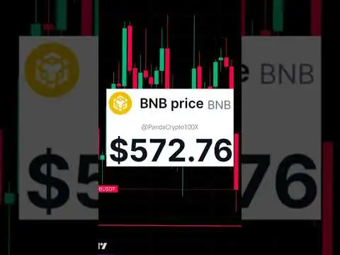 BNB price  July / 2 / 2024