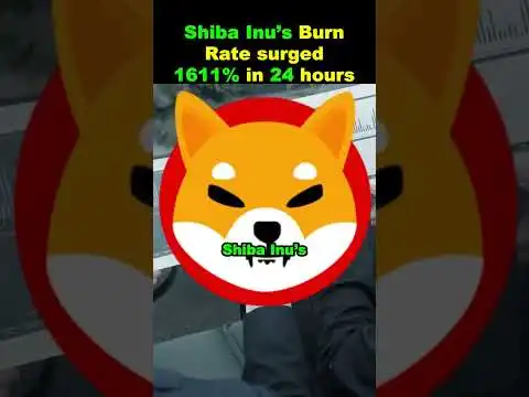 Shiba Inu?s Burn Rate surged 1611% in 24 hours #shortsfeed