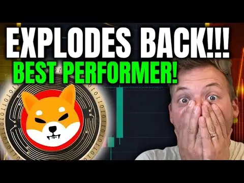 SHIBA INU - EXPLODES BACK!!! BEST PERFORMER IN TOP 20!