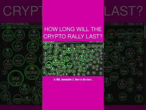  How Long Will The Crypto Rally Last?