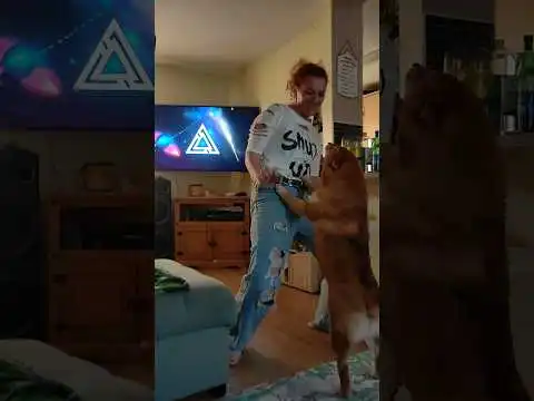 just smile...  #foryou #shibainu #dance #shibenation #justsmile