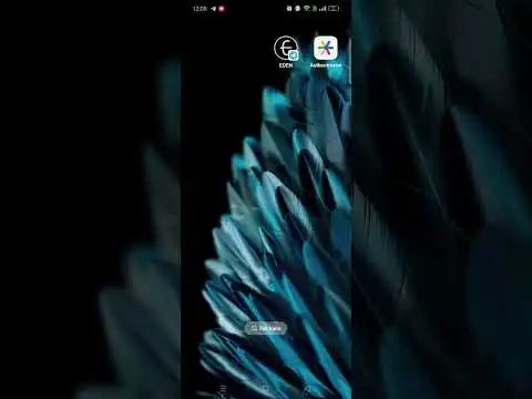 Every day withdraw usdt to my bnb wallet
