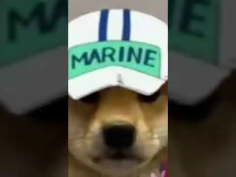 i hope he commented #bullshit#shibainu