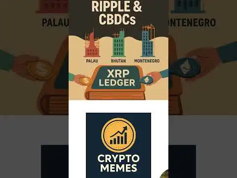 CBCDs.... What Are They? #Crypto #Blockchain #CryptoEducation #Bitcoin #Ethereum #CryptoShorts #Web3