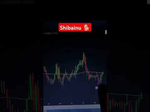 Shibainu Action #trading #beritaputra #trending #shiba #shorts #viralvideo #crypto #fyp #shortvideo