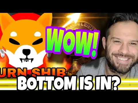 Shiba Inu Coin | SHIB Whale Decline Could Mean Bottom Is In!